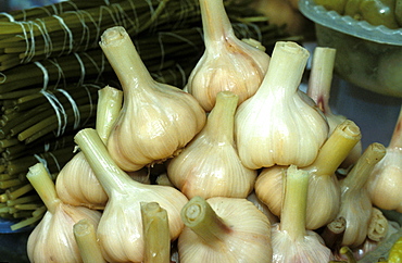 Russia, Saint Petersburg, Kolkhozian Market, Georgian Sour Garlic 