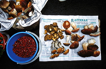 Russia, Saint Petersburg, Outside Of Kolkhozian Market, Selling Mushrooms On The Sidewalk 