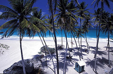 Caribbean, West Indies, Barbados, East Coast, Bottom Bay Beach