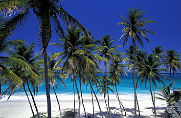 Caribbean, West Indies, Barbados, East Coast, Bottom Bay Beach