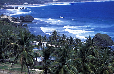 Caribbean, West Indies, Barbados, Overview On Bathsheba Coast, The Surfers Famous Spot