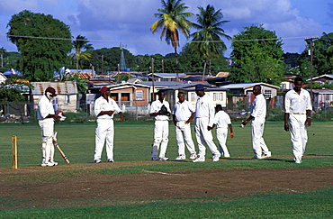 Caribbean, West Indies, Barbados, Barbados, Cricket Game, The Police League Team Against The Telecom Team