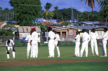 Caribbean, West Indies, Barbados, Barbados, Cricket Game, The Police League Team Against The Telecom Team