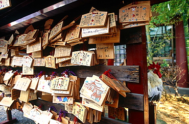 Japan, Kyoto, Wood Tablets With Wishes To Be Offered To The Kamis (Gods) In Shinto Shrine, 