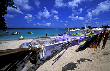 Caribbean, West Indies, Barbados, Almond Beach Village At Speightstown, West Coast