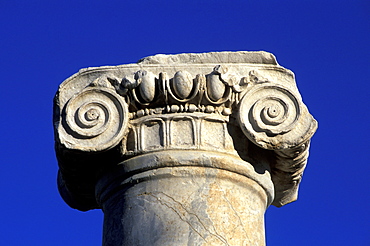 Cyprus, City Of Paphos, The Basilica Ruins, Ionic Capital