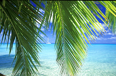 French Polynesia, Tuamotus Archipelago