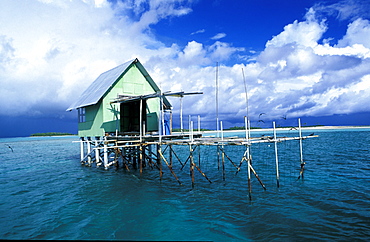 French Polynesia, Tuamotus Archipelago, Black Pearls Farm On The Tikehau Lagoon