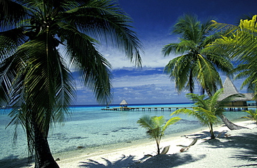 French Polynesia, Tuamotus Archipelago