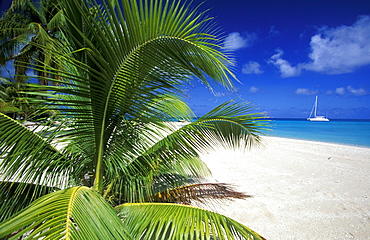 French Polynesia, Tuamotus Archipelago