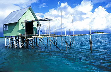 French Polynesia, Tuamotus Archipelago, Black Pearls Farm On The Tikehau Lagoon