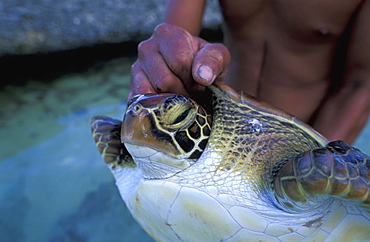 French Polynesia, Tuamotus Archipelago