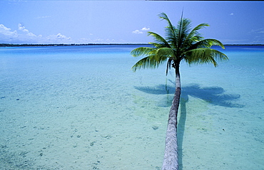 French Polynesia, Tuamotu Archipelago