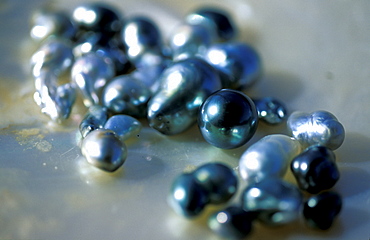 French Polynesia, Tuamotu Archipelago, Black Pearl Farm, Non Well Formed Pearls