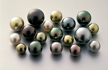 French Polynesia, Mr Wan Exceptional Black Pearls Of His Private Collection