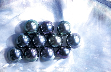 French Polynesia, Tuamotu Archipelago, Black Pearl Farm, Rangiroa, Pearls Just Cropped