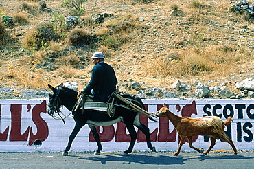 Greece, Crete, Man Riding A Mule Along With A Goat, Whiskey Ad On A Wall Behind