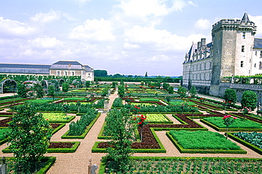 France, To Uraine Val-De-Loire, In Dre-Et-Loire, Villandry Renaissance Castle, The Famous Classical Gardens A La Francaise (French Style)