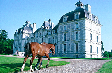 France, To Uraine Val-De-Loire, Loir-Et-Cher, Cheverny Renaissance Castle, Famous Horses Stables