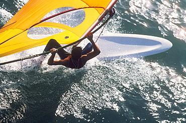 Windsurfer