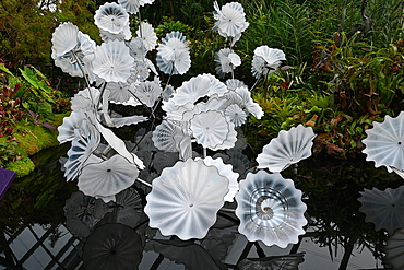 Glass flower sculptures in Rain Cloud dome