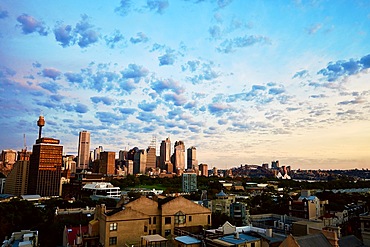 Sydney city skyline in at dawn