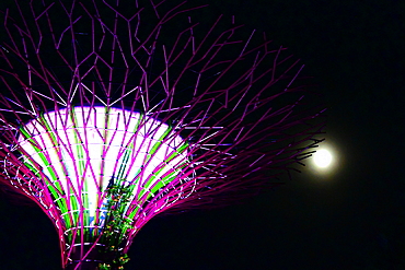 Super tree and full moon in Gardens by the Bay