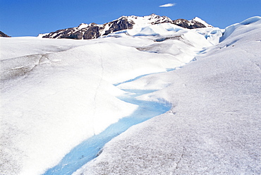 Lake Gray Glacier melting in a stream of blue water, Torres del Paine National Park, Patagonia, Chile, South America