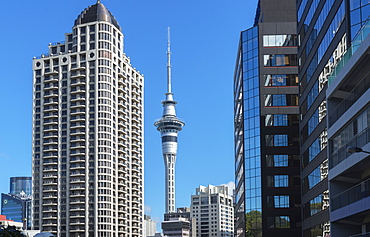 Auckland Sky Tower, Auckland, North Island, New Zealand, Pacific 