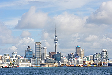 Auckland skyline, Auckland, North Island, New Zealand, Pacific 