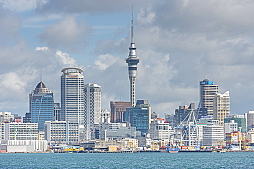 Auckland skyline, Auckland, North Island, New Zealand, Pacific 