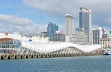 Auckland ferry terminal and skyline, Auckland, North Island, New Zealand, Pacific 