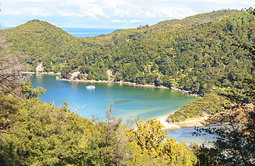 Bark Bay, elevated view, Abel Tasman National Park, Nelson, South Island, New Zealand, Pacific 