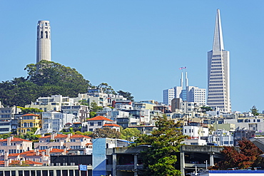 Coit Tower stands on top of Telegraph Hill, San Francisco, California, United States of America, North America