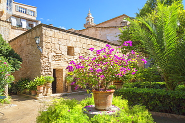 Arab baths garden, Palma de Mallorca, Mallorca (Majorca), Balearic Islands, Spain, Europe