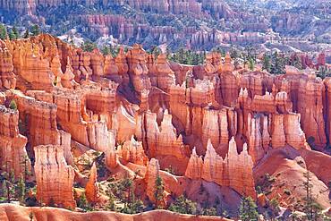 Bryce Canyon, Bryce Canyon National Park, Utah, United States of America, North America