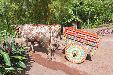 Decorative ox-cart, Costa Rica, Central America