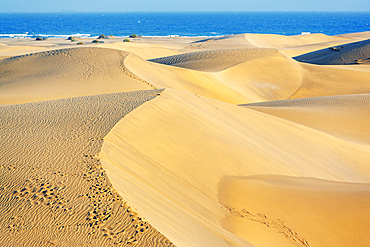 Sand dunes, Maspalomas, Playa del Ingles, Gran Canaria, Canary Islands, Spain