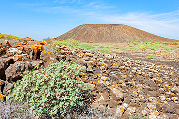 Volcanic landscape, Lobos Island, Fuerteventura, Canary Islands, Spain