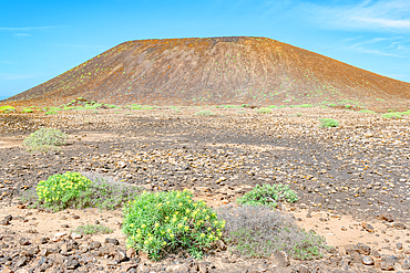 Volcanic landscape, Lobos Island, Fuerteventura, Canary Islands, Spain