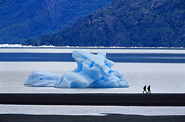 Hikers walking in front of a floating iceberg, Lake Gray, Torres del Paine National Park, Patagonia, Chile, South America