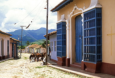 Horses in old town back street, Trinidad, Sancti Spiritus, Cuba, West Indies, Central America