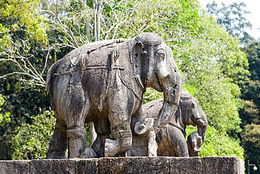 Stone statues of elephants among ruins in the grounds of the mid 13th century Sun Temple, dedicated to Surya, the Hindu Sun God, constructed as a twelve-wheeled chariot drawn by seven horses, UNESCO World Heritage Site, Konarak, Puri District, Odisha, India, Asia