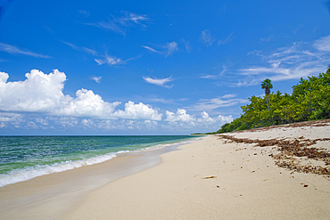 Cuba, West Indies, Pinar del R?o province. Playa Las Tumbas, Cabo San Antonio, Guanahacabibes Peninsular, National Park and Biosphere Reserve.