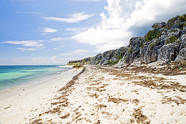 Cuba, West Indies, Pinar del R?o province. Playa El Holond?s, Cabo San Antonio, Guanahacabibes Peninsular, National Park and Biosphere Reserve.