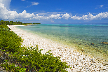 Playa El Perjuicio, Cabo San Antonio, Guanahacabibes Peninsula National Park and Biosphere Reserve, Pinar del Rio, Cuba, West Indies, Caribbean, Central America