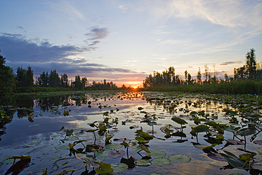 Sun rising over the Zapata swamplands, Matanzas Province, Cuba, West Indies, Caribbean, Central America