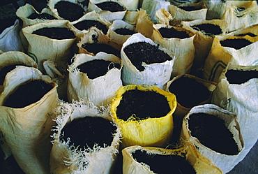 Sacks of tea, Melfort Tea Factory, Nuwara-Eliya region, Sri Lanka