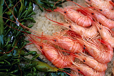 Crevettes (prawns), Le Bistrot de Bernard, Ars, Ile de Re, Charente Maritime, France, Europe