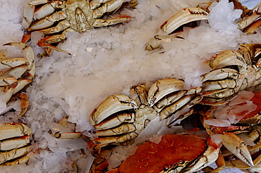 Crabs for sale in Pike Market, Public Market Center, Seattle, Washington State, United States of America, North America